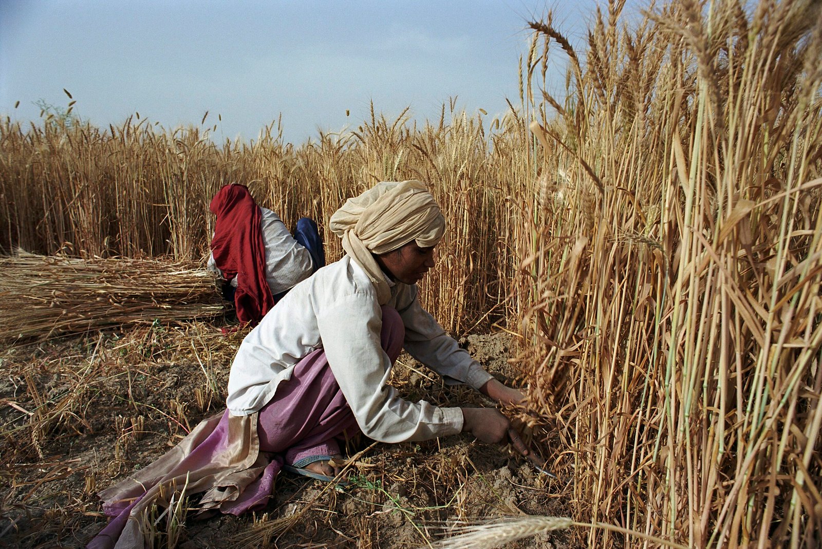 The Impact of the War in Ukraine on the Indian Economy