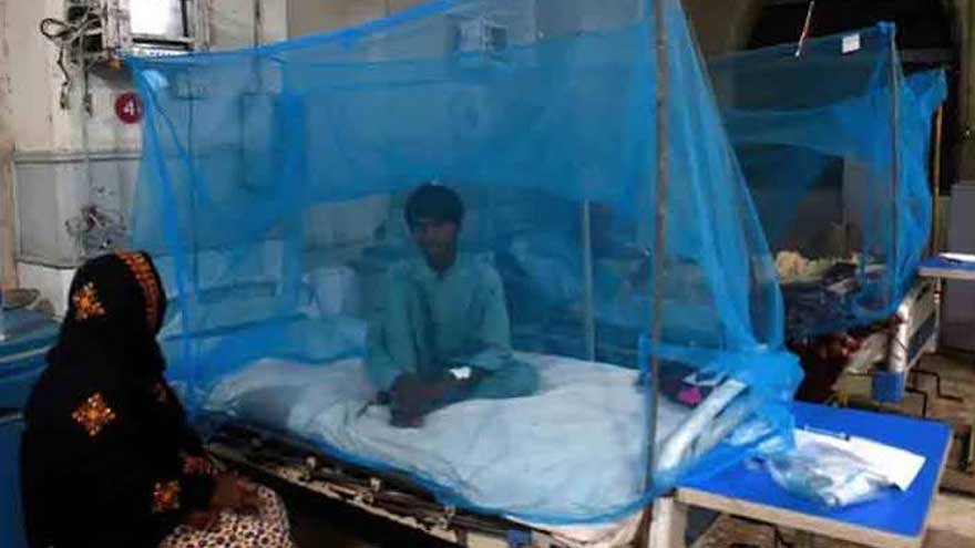 Dengue cases reach 478 in Khyber Pakhtunkhwa