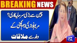 Maryam Nawaz Meets Senior Delegation of Leading Chinese Company  Dunya News