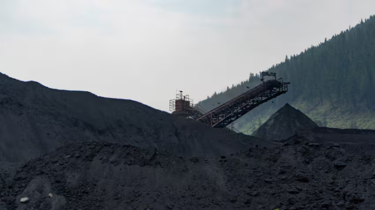  बिज़नेस