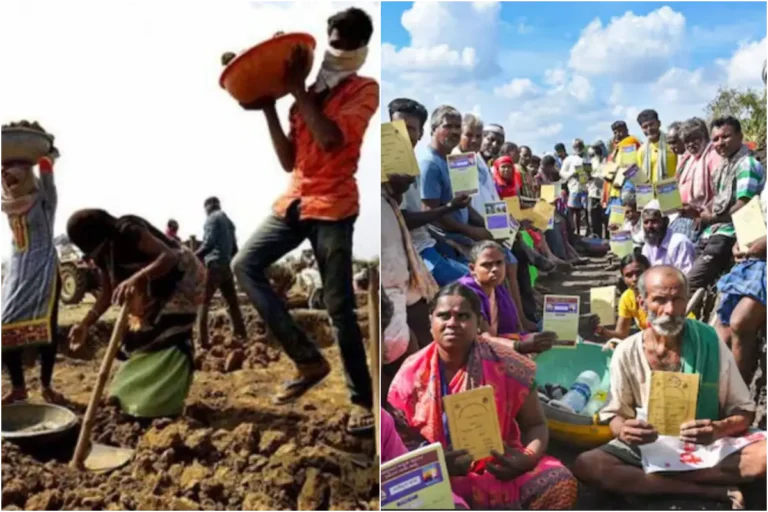  पॉलिटिक्स