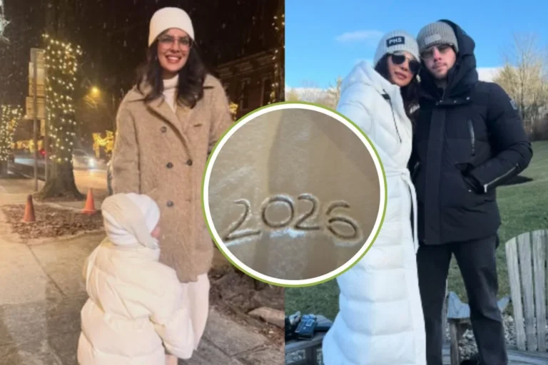  मनोरंजन