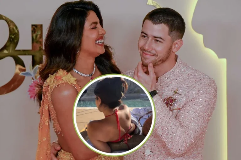  मनोरंजन