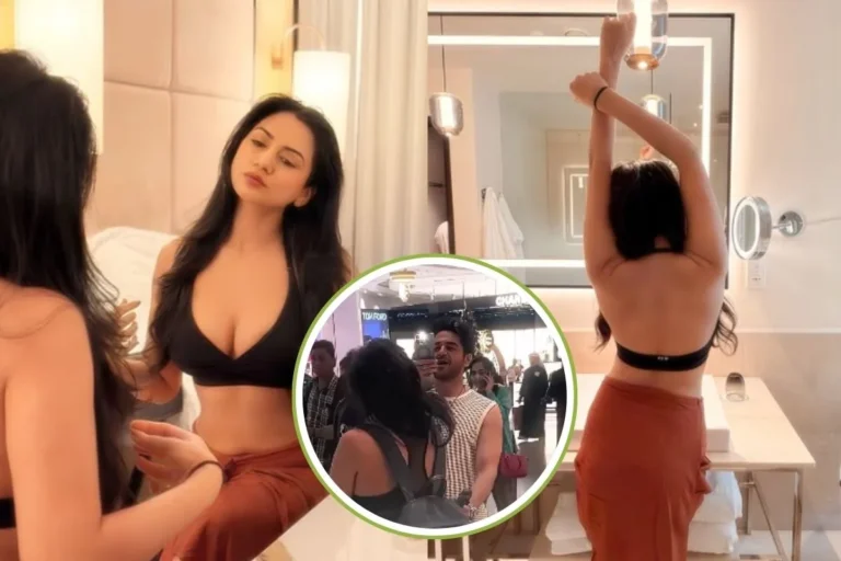  मनोरंजन